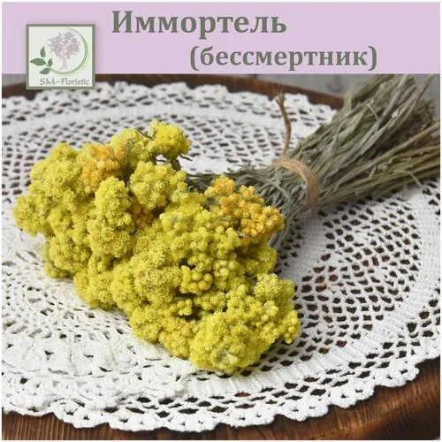 Купить оптом сухоцвет желтого бессмертника для флористики в Москве