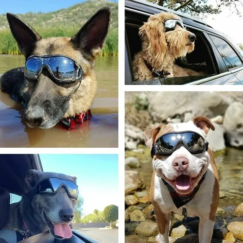 DOGGLES® ILS™ - очки (солнцезащитные) для собак