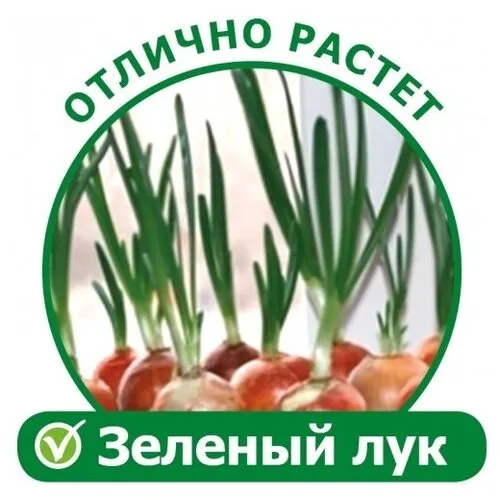 Грядка гидропонная Луковое Счастье проращиватель пера зелёного лука, доставка из Москвы