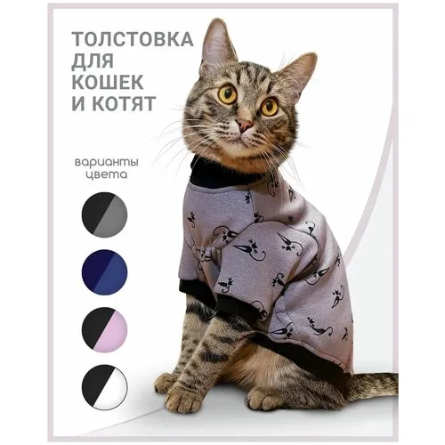 Одежда для котов в Украине | Купить одежду для котов в Zoomark