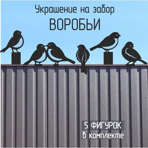 Парк птиц Воробьи | Туристический портал Калуги и Калужской области
