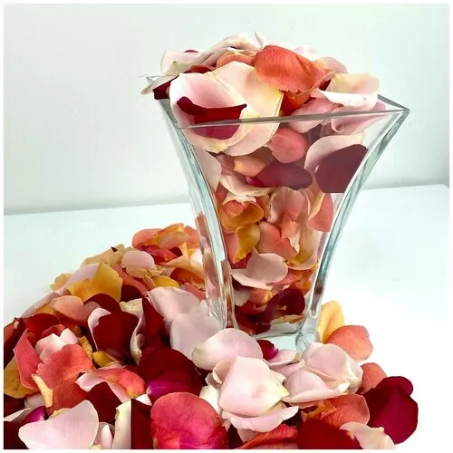 Лепестки роз купить в Москве |Лепестки розы для ванны - цена в интернет магазине